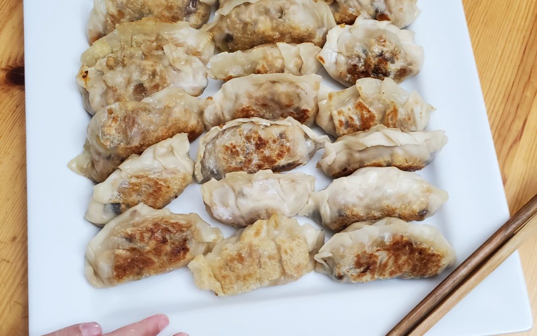 Vegetarian Tofu Dumpling